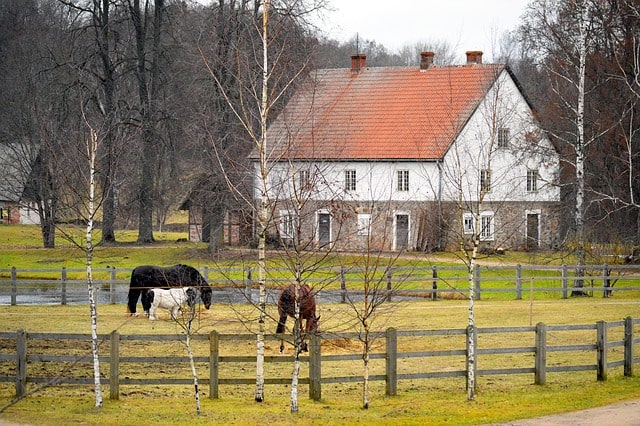 nacionāldemokrātisms ferma zirgi